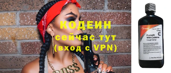 PSILOCYBIN Тайга