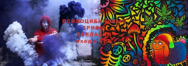 PSILOCYBIN Тайга