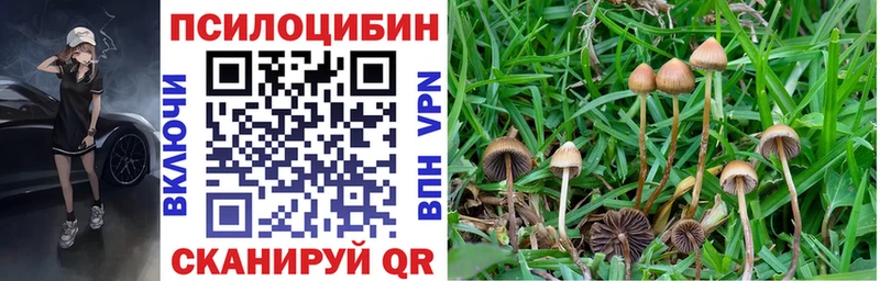 МЕГА Усолье Псилоцибиновые грибы ЛСД